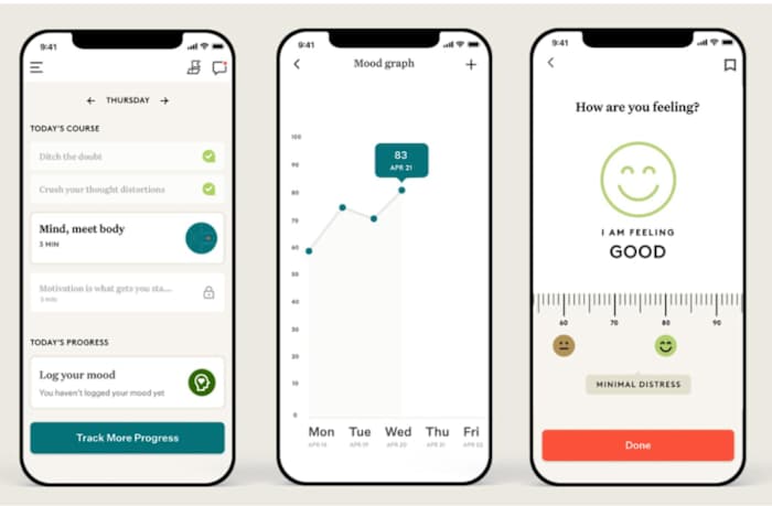 The app interface of Noom Mood